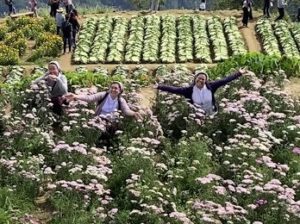 3 among flowers